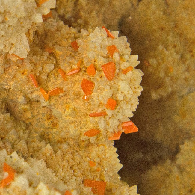 5.9" Orange WULFENITE Sharp Tabular Crystals w Quartz Loudville MA for sale