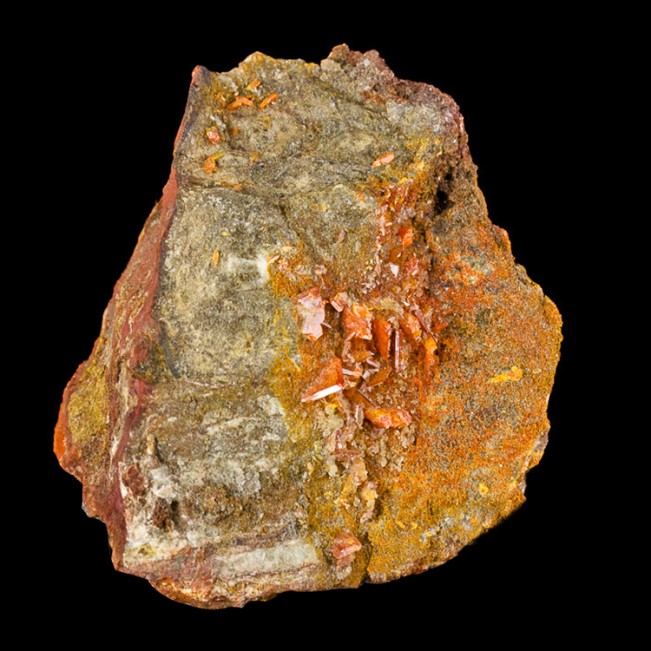 4.2" Brilliant Red Tabular WULFENITE Superb Crystals Geronimo Mine AZ for sale