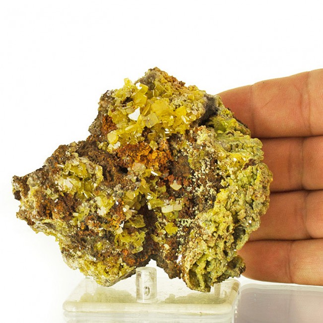 3.9" Gem Clear Tabular Yellow WULFENITE Crystals +Green MIMETITE Mexico for sale