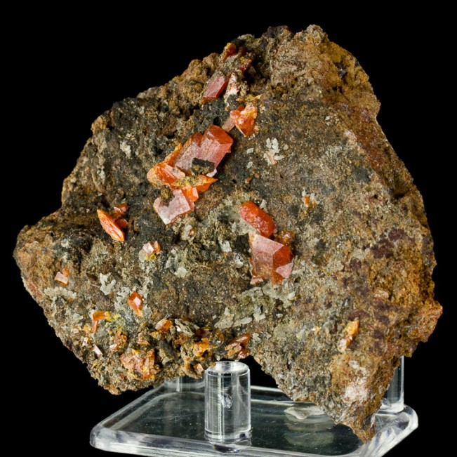 3" Matrix w/Sharp RedOrange WULFENITE Crystals to .3" Red Cloud Mine AZ for sale