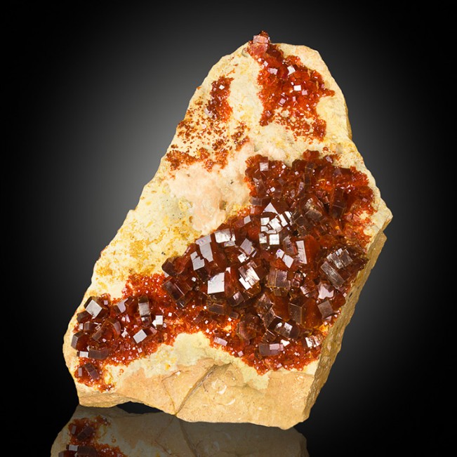 6.8" Vivid Blood Red VANADANITE Brilliant Shiny Crystals to .5" Morocco for sale