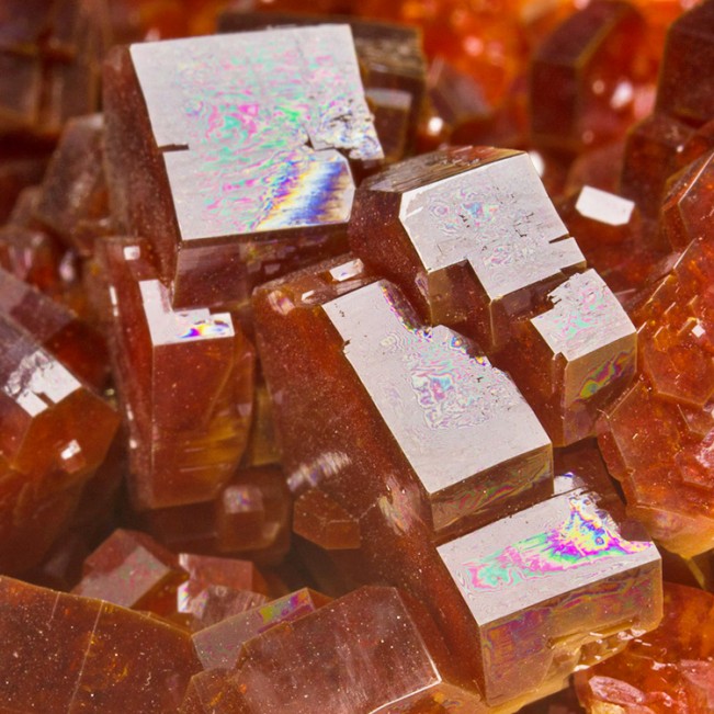 6.8" Vivid Blood Red VANADANITE Brilliant Shiny Crystals to .5" Morocco for sale