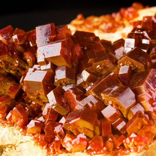 6.8" Vivid Blood Red VANADANITE Brilliant Shiny Crystals to .5" Morocco for sale