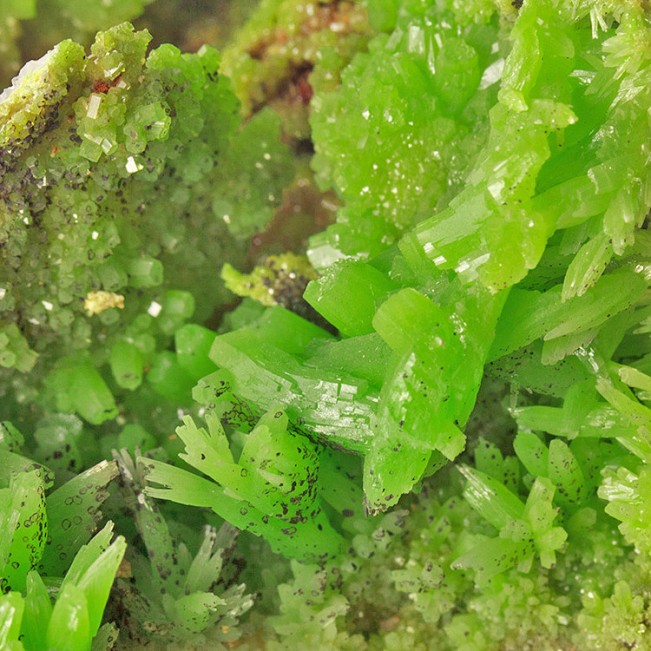 4.3" Flashy Green PYROMORPHITE Crystals Sharp Undamaged Daoping M China for sale