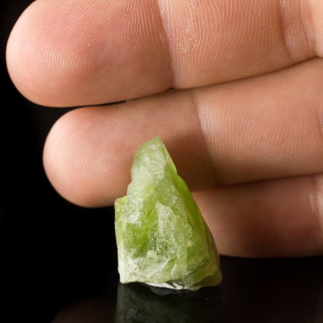 1.1" GREEN PERIDOT CRYSTAL 56ct Terminated Translucent Pakistan for sale