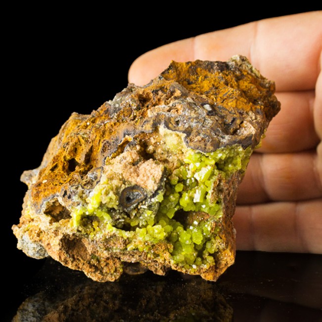 3.9" Grass Green PYROMORPHITE Sharp 6-Sided Crystals on Matrix Morocco for sale