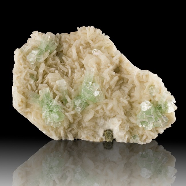 5.5" Mint Green DISCO-BALL APOPYLLITE Crystals on White Stilbite India for sale