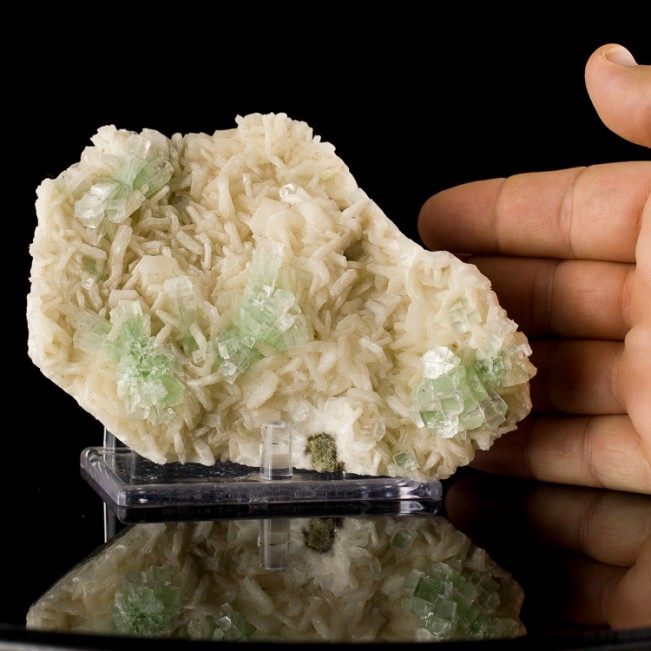 5.5" Mint Green DISCO-BALL APOPYLLITE Crystals on White Stilbite India for sale