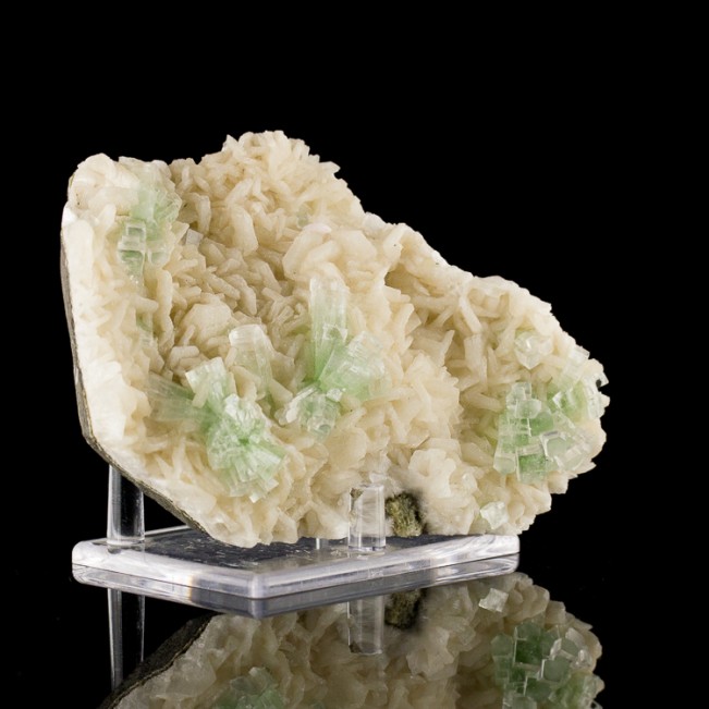 5.5" Mint Green DISCO-BALL APOPYLLITE Crystals on White Stilbite India for sale