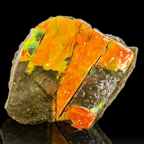 2.4" Orange-Red+Green Iridescent GEM AMMOLITE...