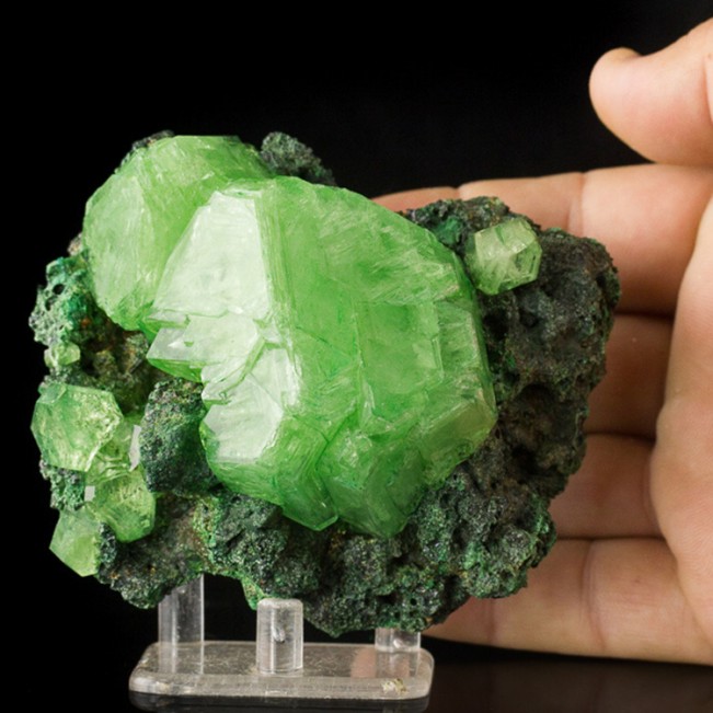 4.3" Sharp GrassGreen Octahedral ALUM Crystals to 2.5" Lab Grown Poland for sale