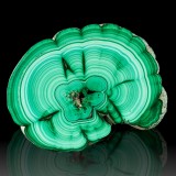 2.3" Bulls Eye MALACHITE SLICE Light & Da...